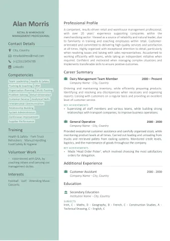 Professional CV writing service example - Standard Example 2